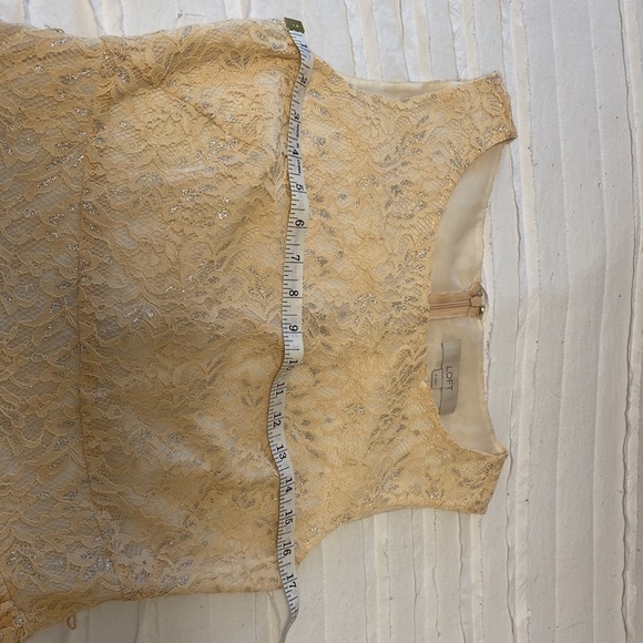 Peach and silver lace LOFT dress with belt - Picture 5 of 6